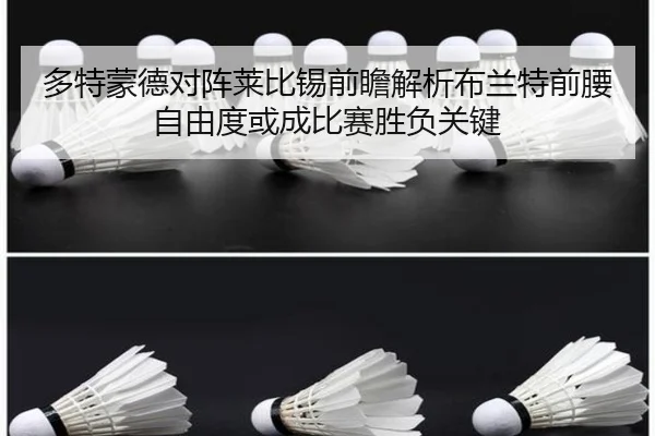 多特蒙德对阵莱比锡前瞻解析布兰特前腰自由度或成比赛胜负关键